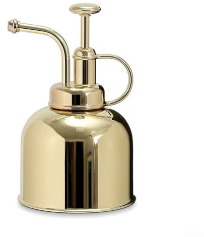 MeevrgR Mini-Sprühtopf für Pflanzenpflege – hellgoldener Edelstahl-Sprüher – verbessert Wachstum und Luftfeuchtigkeit für Orchideen und Fuchsien – 11 x 11 x 19 cm Gießkanne