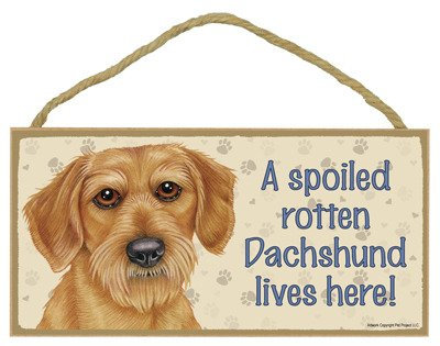 (sjt61982) A Spoiled Rotten Dackel (Draht Haar) Lives Here Holz Schild 12,7 x 25,4 cm