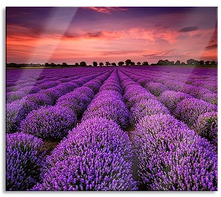 Wunderschöne Lavendel Provence Herdabdeckplatte & Spritzschutz aus Echtglas | Für Herd-Kochfelder | 60x52 cm