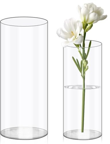 Olrla Set di 2 vasi per fiori in acrilico trasparente in plastica infrangibile per composizioni floreali, centrotavola, fai da te