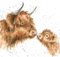 Artistic Greeting Card (WRE-CS156) - Blank/Birthday - 'Gentle One' - Highland Cow and Calf - from The Country Set Range - Suitable for Birthdays and Other Occasions