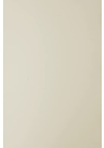 Netuno 50x Bisquit Feinkarton DIN A4 21 x 29,7 cm 300g Keaykolour Biscuit Öko Bastel Karton A4 Recycling Premiumkarton Ökokarton farbig für DIY Projekte zum Dekorieren