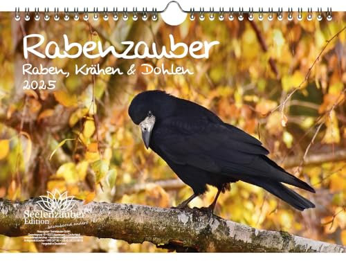 Rabenzauber Raben, Krähen und Dohlen DIN A4 Kalender für 2025 - Seelenzauber