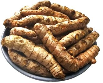 Fresh Turmeric roots by Oluzon, 1Kg