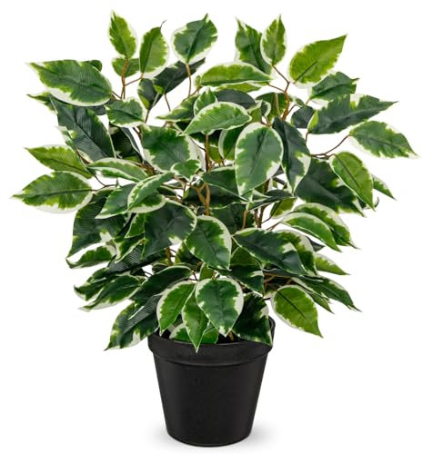 Hollyone 40CM Artificial Ficus Plant in Pot, Fake Plants Indoors with Black Pot, Variegated Faux Plants Decorative Greeneries for Home Decor, Living Room, Kitchen Decorations, Office Windowsill
