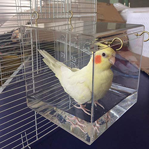 Baignoire spacieuse pour oiseaux, cage de douche, calopsitte et perroquet transparent avec crochets de suspension - Fournitures pour animaux domestiques - En acrylique - Pour nettoyer la maison -