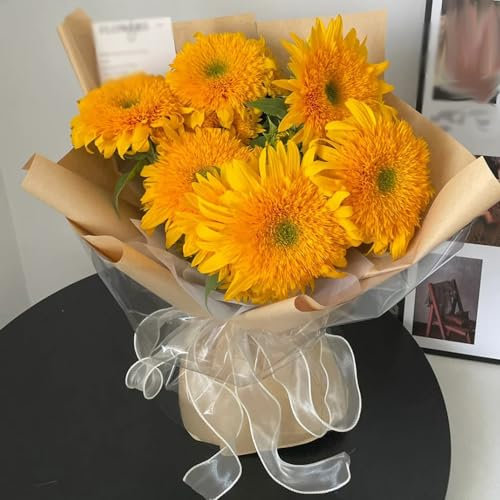 20 pcs Sonnenblumensamen zum pflanzen (Teddybär) blumengarten, geschenke für den garten Sonnenblumensamen (Teddybär) blumensamen gastgeschenk, samen kräutersamen, kleine geschenke
