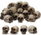 MisFun 20 Stück Totenkopf Deko, Halloween Deko Schädel, Mini Totenkopf Figur Mini Schädel Blumentopf Dekoration, Mini-Schädelköpfe für Halloween DIY Deko, Für Halloween Und Horror Party