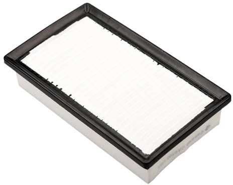 Castrol Filters CA0109 Air Filter