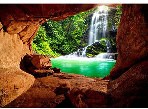 Runa Art Fototapete Schlucht Wasserfall Modern Vlies Wohnzimmer Schlafzimmer - Made in Germany - 308 x 220 cm Grün Braun 9071010c