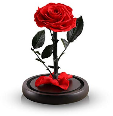 jiande Beauty And The Beast Rose Regalo Confezione, Fiore eterno for Sempre Rosa nel Bicchiere, Regali di Compleanno for Natale San Valentino Giorno della Mamma