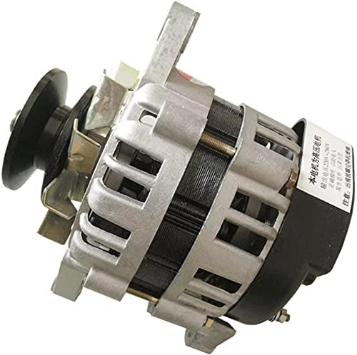 MYENA Permanent Magnetgenerator, bürstenloser Konstantspannungsmotor, Kupferkern-Home-Beleuchtung Kleiner Wechselstromgenerator,220v 1300w