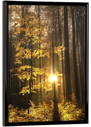 artboxONE Poster mit schwarzem Rahmen 18x13 cm Natur Der Wald erwacht - Bild Wald Natur Sonne