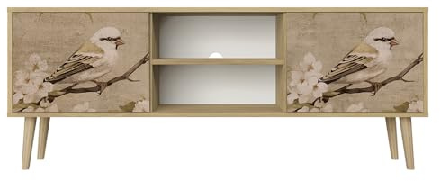 Healancy Biomedical TV Schrank mit Türen - Kommode - Fernsehschrank - Lowboard - Fernsehtisch - Wohnzimmer Möbel - Board mit Stauraum - Tisch - Sideboard - Fernsehrregal Riva-Eiche