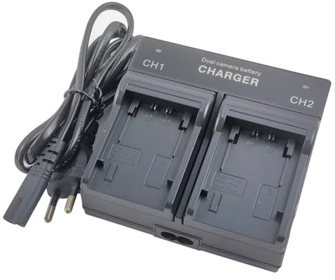 Dual-Channel Batteria Caricabatterie per NP-FV30 NP-FV50 NP-FV70 NP-FV100 NP-FH50 NP-FH70 NP-FH100 DCR-DVD105 HDR-CX900e CX280 CX260 CX330 CX410 CX240 Handycam macchina fotografica