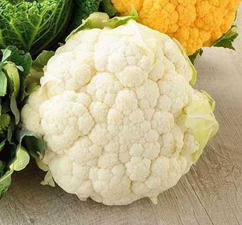 Sachet de graines de Chou fleur nain extra hâtif boule de neige - 1 g - LES GRAINES BOCQUET