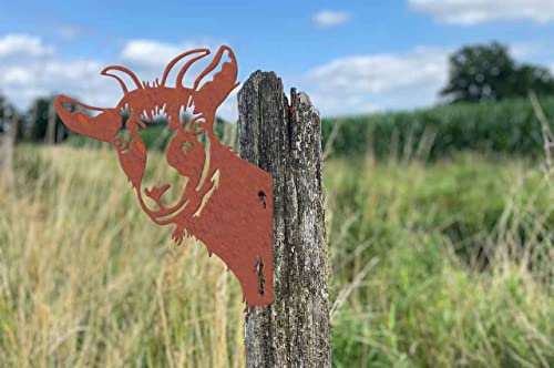 Illumino Metall Rost Zaundeko Wanddeko Ziege Zenzi Naturrost Tierischer Blickfang Kunst Deko für Garten und Haus