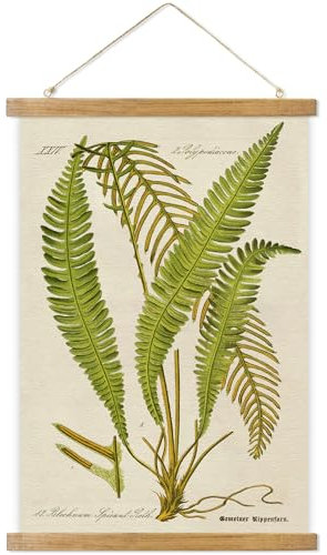 ABoby Vintage Illustrative Referenz Pflanze Hängendes Poster Retro Stil Botanischer Wandkunst Druck auf Leinen mit Holzrahmen Fertig zum Aufhängen