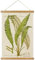ABoby Vintage Illustrative Referenz Pflanze Hängendes Poster Retro Stil Botanischer Wandkunst Druck auf Leinen mit Holzrahmen Fertig zum Aufhängen
