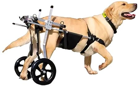 Mittlerer und großer Hunderollstuhl, Rehabilitationshilfe, Hinterbeinstütze, Hundewagen mit Rädern, für die Rehabilitation der Hinterbeine,XL