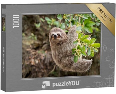 puzzleYOU: Puzzle 1000 Teile „Dschungelansicht: Faultier“ – aus der Puzzle-Kollektion Faultiere, Exotische Tiere & Trend-Tiere