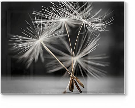 DEQORI Schneidebrett aus Glas | groß 40x30 cm | Motiv Samen der Pusteblume | Design Schneideplatte für Küche | Frühstücksbrett antibakteriell & rutschfest | Glasplatte & Servierplatte