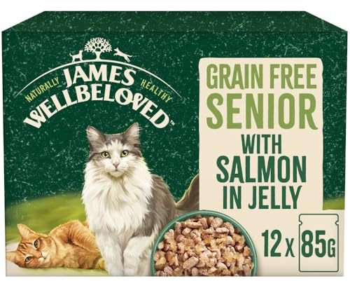 James Wellbeloved Getreidefreies Katzenfutter Tierfutter Dose für ausgewachsene Katzen mit Lachs im Gelee-Beutel, 12 x 85 g