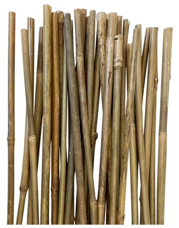 Acomoda Textil - Tutores de Bambú Resistentes. Pack 30 Varillas Estables y Robustas. Caña para Plantas, Árboles y Hortalizas (150 cm, 8/12 mm)