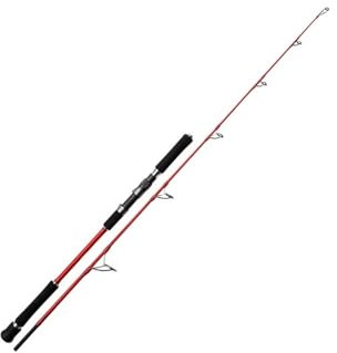 Angelruten Angelrute 1,83 m M Köder 120-500g for BlueRunner Thunfisch Cane Sea Angel rute