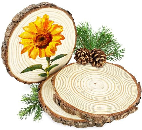 Isrcivcs 3 Stück Holzscheiben 18-20 cm, Unvollendete Baumscheiben Holzplatte Rund Ca.15mm Dicke, für Tafelaufsätze DIY-Hochzeitsdekorationen Aus Holz Gemälde Untersetzer und zum Basteln