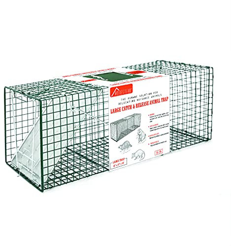 HOMESTEAD 32 Inch Live Animal Trap - Specialized for Raccoons, Opossums, Groundhogs, Skunks, Feral Cats, Squirrels - Humane Way Catch & Release Animal Trap
