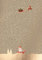 cityproducts - 4358 - Postkarte, Weihnachten, Köln, Kölscher Weihnachtsmann im Schnee, DIN A 6, 10,5cm x 13cm