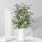 LOMOHOO Lot de 2 branches d'olivier artificielles de 75 cm, tiges d'olivier artificielles, feuilles vertes, feuilles de fruits, feuilles pour vase, bouquets, décoration de verdure (75 cm, olive)