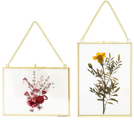 Marco de fotos de cristal para flores prensadas 2 unidades, 13 X 18 cm marco de fotos de metal para colgar plantas, flores secas, soporte para exhibición de