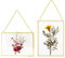 Marco de fotos de cristal para flores prensadas 2 unidades, 13 X 18 cm marco de fotos de metal para colgar plantas, flores secas, soporte para exhibición de