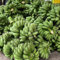15 pcs bananen samen winterhart blumensamen pflanzensamen (Musa Basjoo) bonsai samen garten hochbeet säulen obstbäume winterharte pflanzen obst samen exotische pflanzen bonsai baum