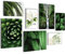 Novart- Tableau Décoration Murale- Plante & Cascade- Decoration Chambre Salon- Prêt à être Accroché- 7 Cadres de 30x40 & 20x30 cm- Vert- N004071a