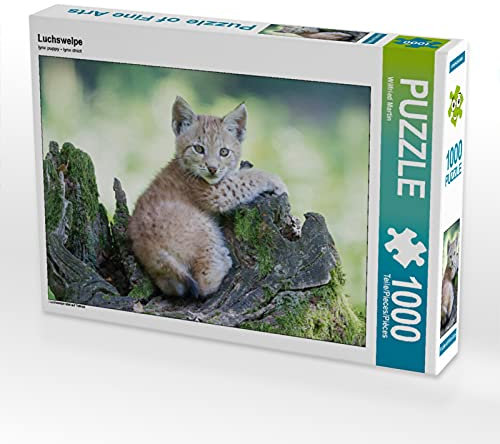 CALVENDO Puzzle Luchswelpe 1000 Teile Puzzle quer | 1000 Teile Lege-Größe 64 x 48 cm Foto-Puzzle für glückliche Stunden
