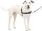 PetSafe Easy Walk Hundegeschirr.