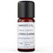 Litsea Cubeba Öl - reines ätherisches Öl von wesentlich. - 100% naturrein aus der Glasflasche (10ml)