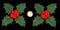 2 x Edible 3D Giant Holly Leaves Leaf with berries, 20 colours, toppers, decorations cake