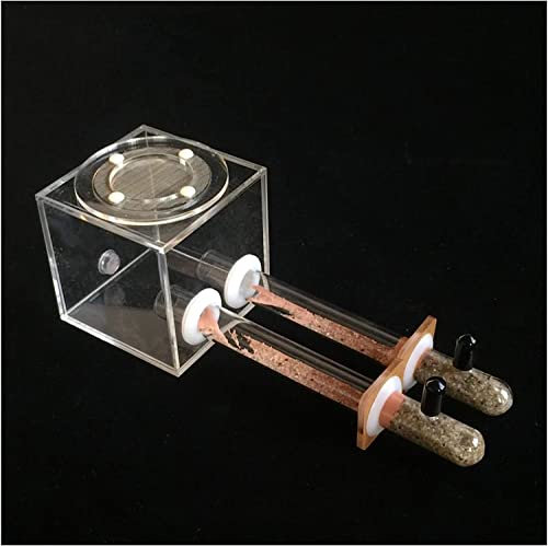 Zewool Ameisenfarm, Transparent, Glas, Minimalistisch und funktional, Innenbereich, Ameise, Schaukasten, 15 mm, Doppelloch, Reagenzglas
