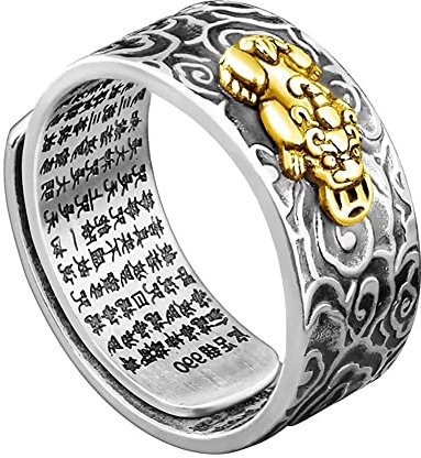 YOMIIN Ring Damen Silber 925, Feng Shui Ringe für Männer Frauen Reichtum Glück Amulett Ring Offener verstellbarer Ring Sterling Silber Ring
