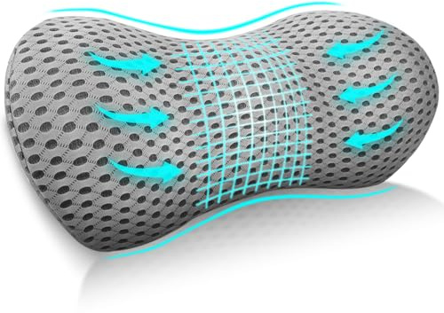 Cnwinu Lendenwirbelkissen, Rückenkissen für Autositze und Bürostühle, Ergonomisches Memory Schaum Lendenkissen, Lumbar Support Cushion, Lumbar Support Pillow für Ausruhen, Schlafen, Reisen (Hellgrau)