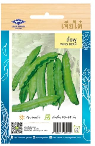 Graines de Haricot Ailé – WING BEAN – Haricot quadrialé Tropical quatre ailes – 25 graines – CHIA TAI (Home Garden) – Import Thaïlande – Légume rare