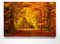 Herbstpanorama Leinwand - Goldener Waldweg - als 150x50cm großes XXL Leinwandbild. Wandbild als Hintergrund und Deko für Wohnzimmer & Schlafzimmer. Aufgespannt auf Holzrahmen