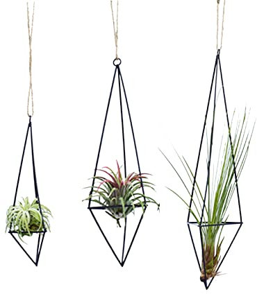 JFBUCF Set di 3 supporti per piante da appendere in metallo gemometrico con corda, per appendere piante, in 3 dimensioni, per decorare casa e ufficio