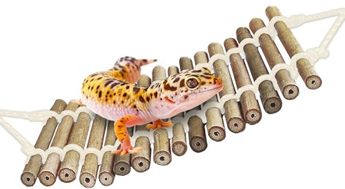 SunGrow Bambus-Gecko-Reptilien-Kletterbrücke und Eidechsen-Lounge, 45,7 cm schwingende Versteckbrücke, hilft Leopard-Geckos mit Thermoregulierung, erhöht den Lebensraum und kann in Wasser getaucht