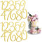 20PCS Acrylic Cake Toppers 0-9 Number HAFRILY Cake Topper Gold Cake Decorations Cupcake Toppers for Birthday Mariage Anniversary Graduation Party DIY Supplies (Gold)