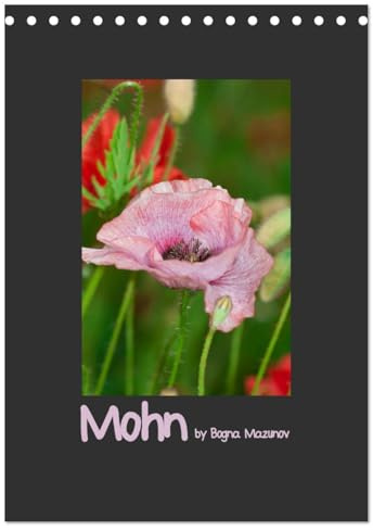 Mohn (Tischkalender 2026 DIN A5 hoch), CALVENDO Monatskalender: Klassischer Mohn in vielen Auftritten (CALVENDO Natur)